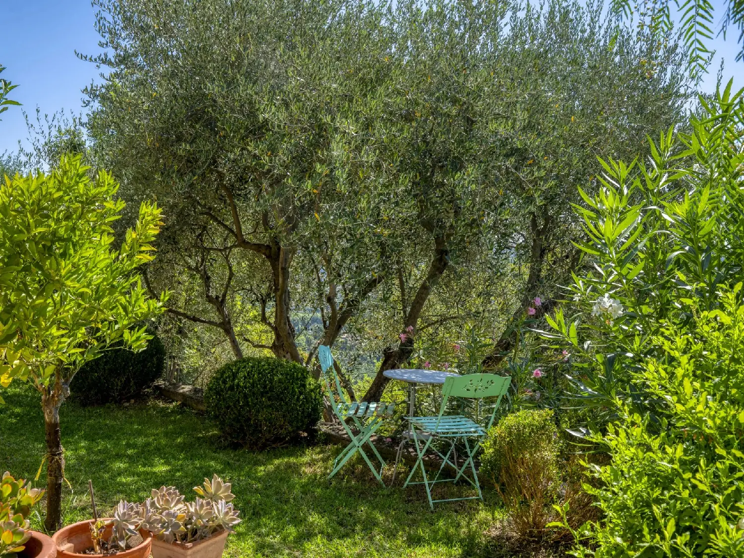  te koop villa Grasse Alpes-Maritimes 8