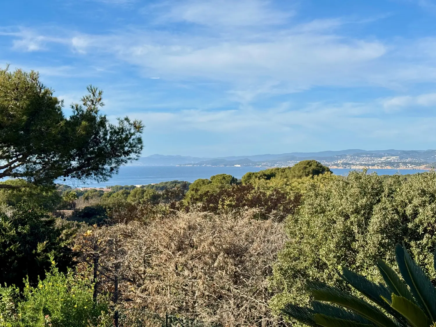  kaufen Villa Le Brusc Var 3