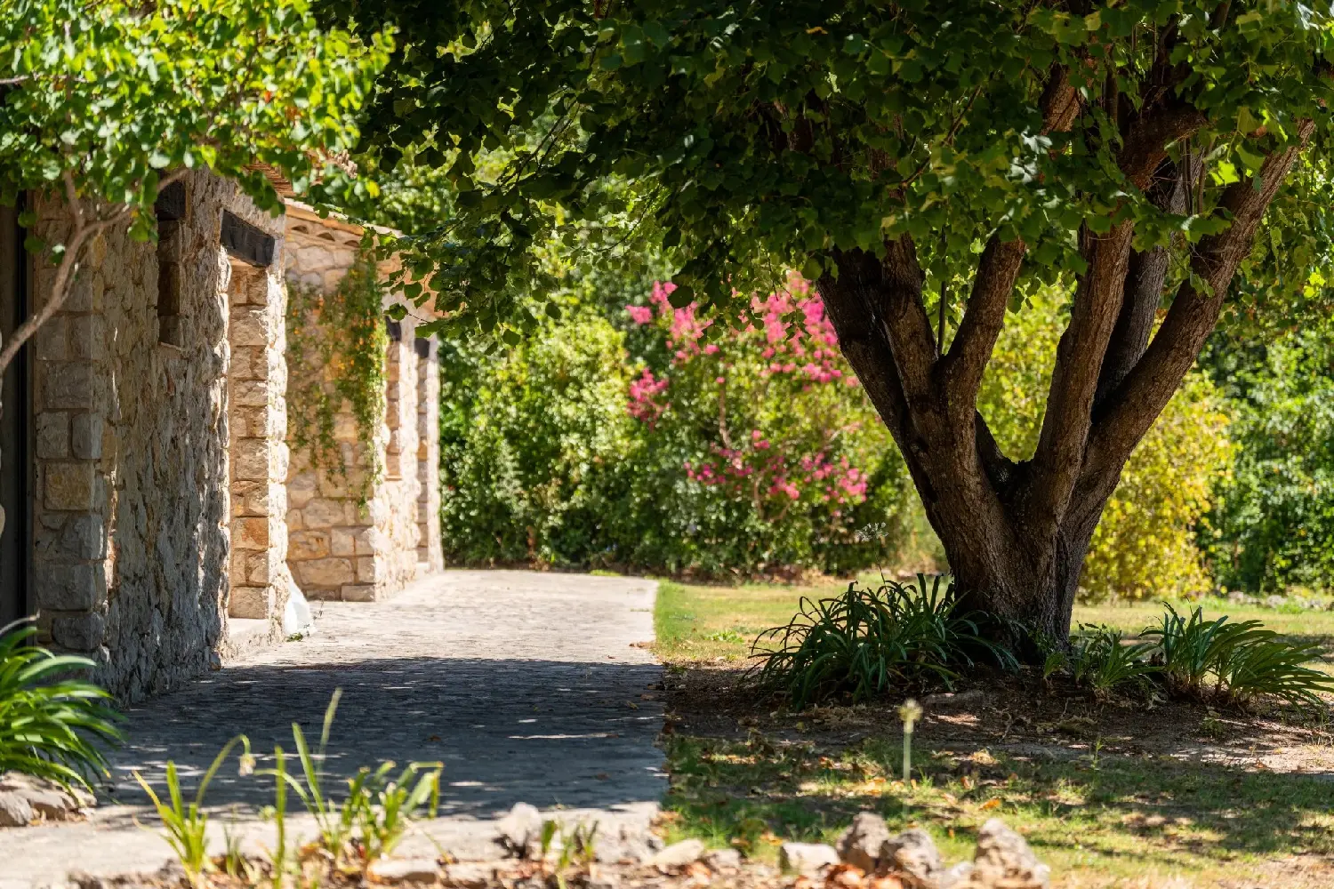  à vendre villa Le Tignet Alpes-Maritimes 8