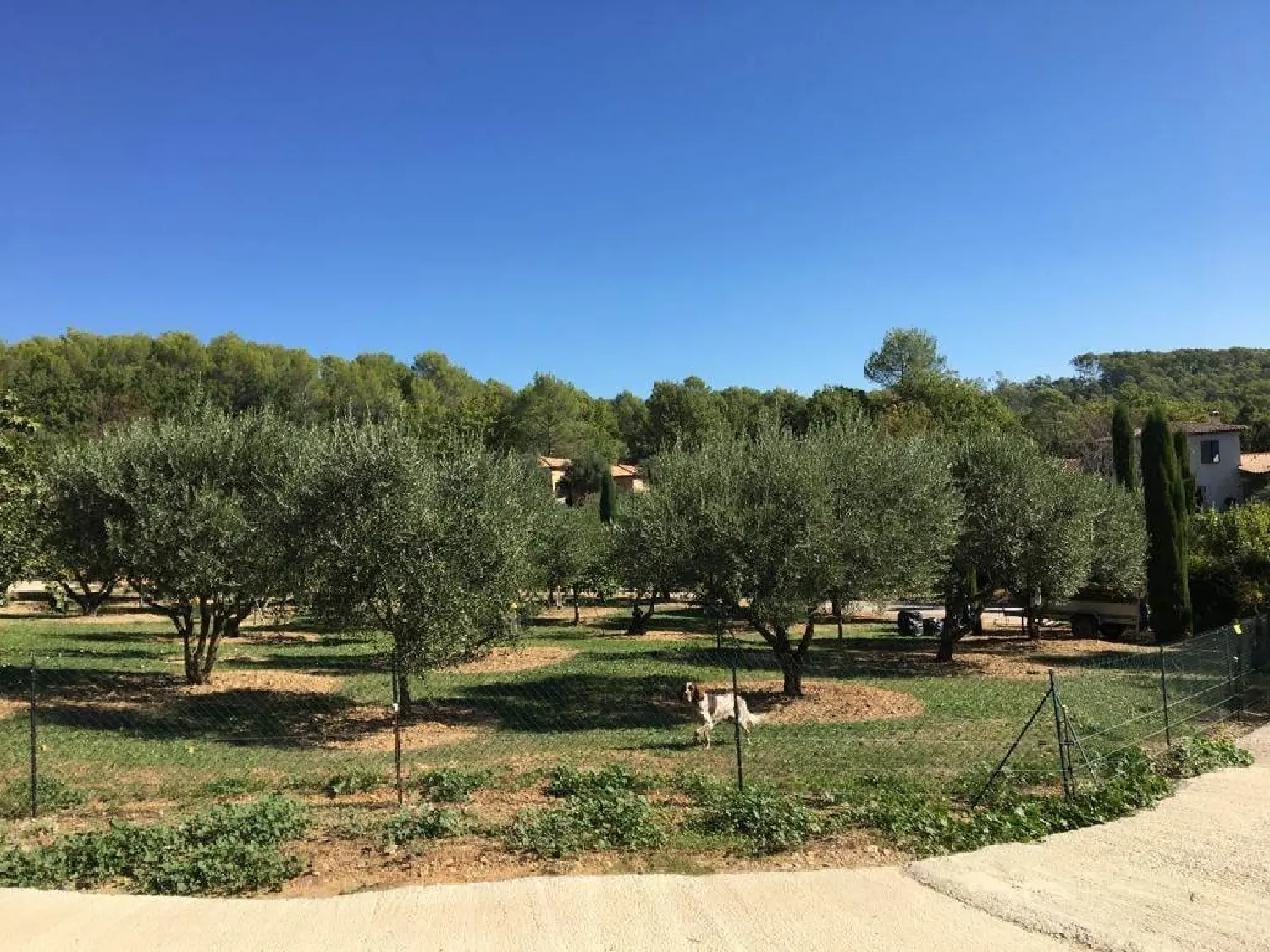  te koop villa Lorgues Var 5