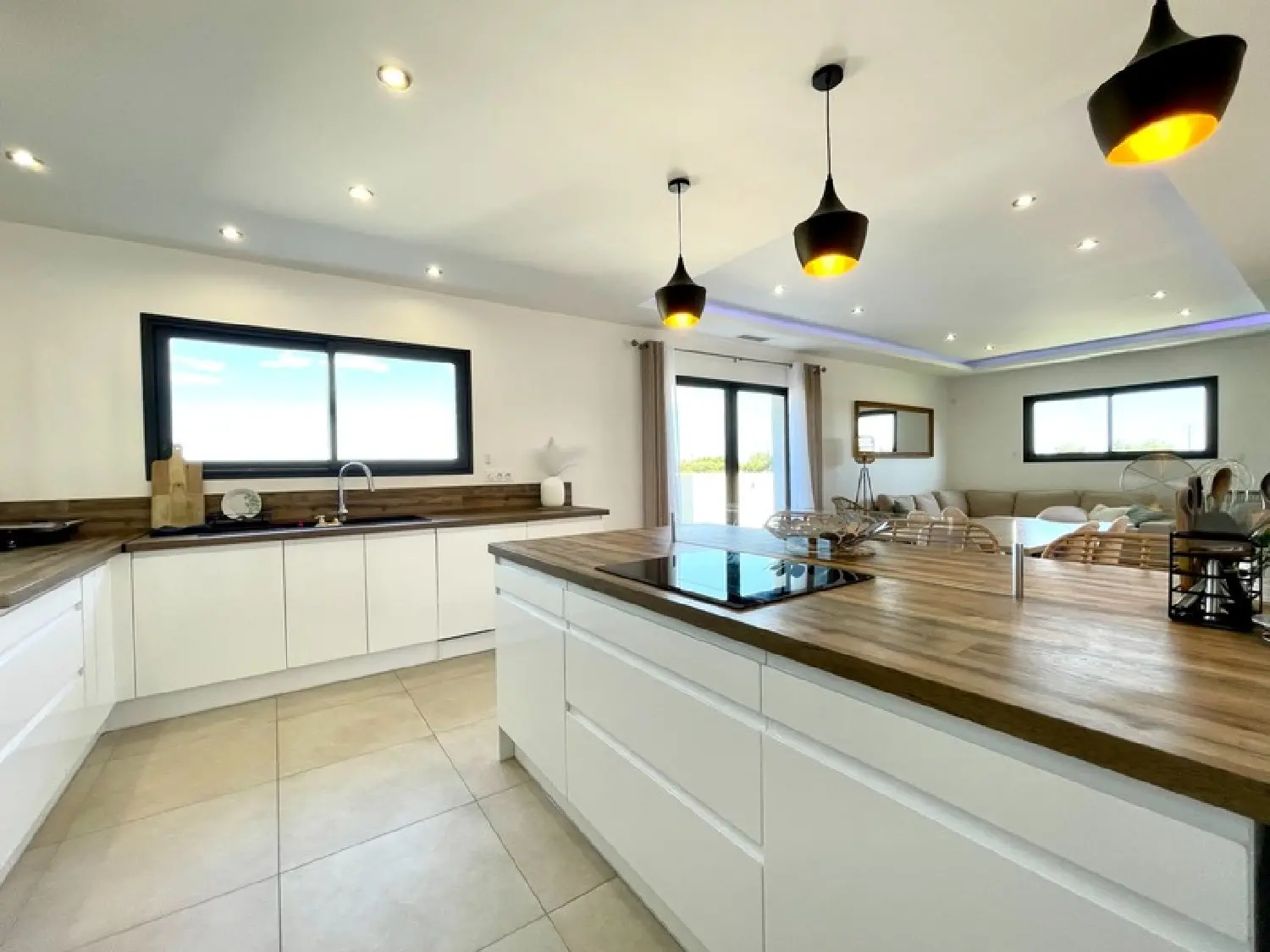  te koop villa Saint-Laurent-d'Aigouze Gard 4