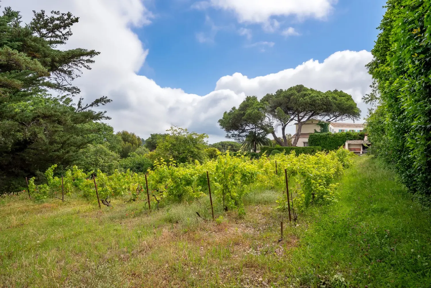  kaufen Villa Saint-Tropez Var 3