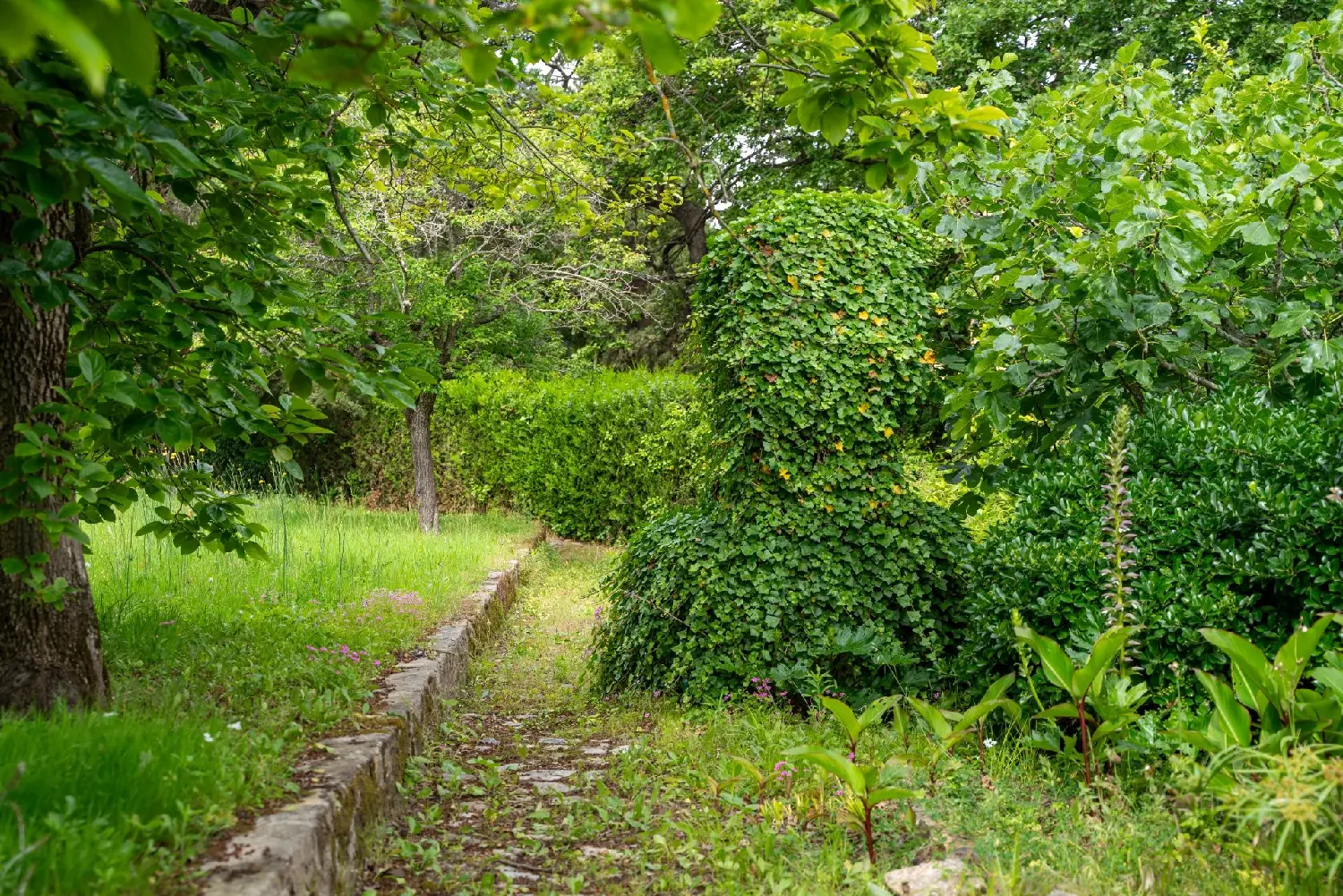  kaufen Villa Saint-Tropez Var 8