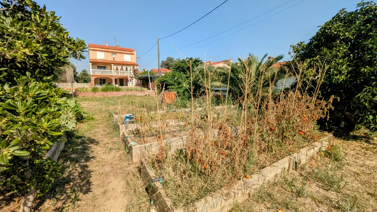  te koop villa Sorède Pyrénées-Orientales 8