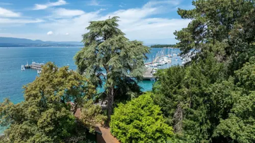Thonon-les-Bains Haute-Savoie Villa Bild 7122356
