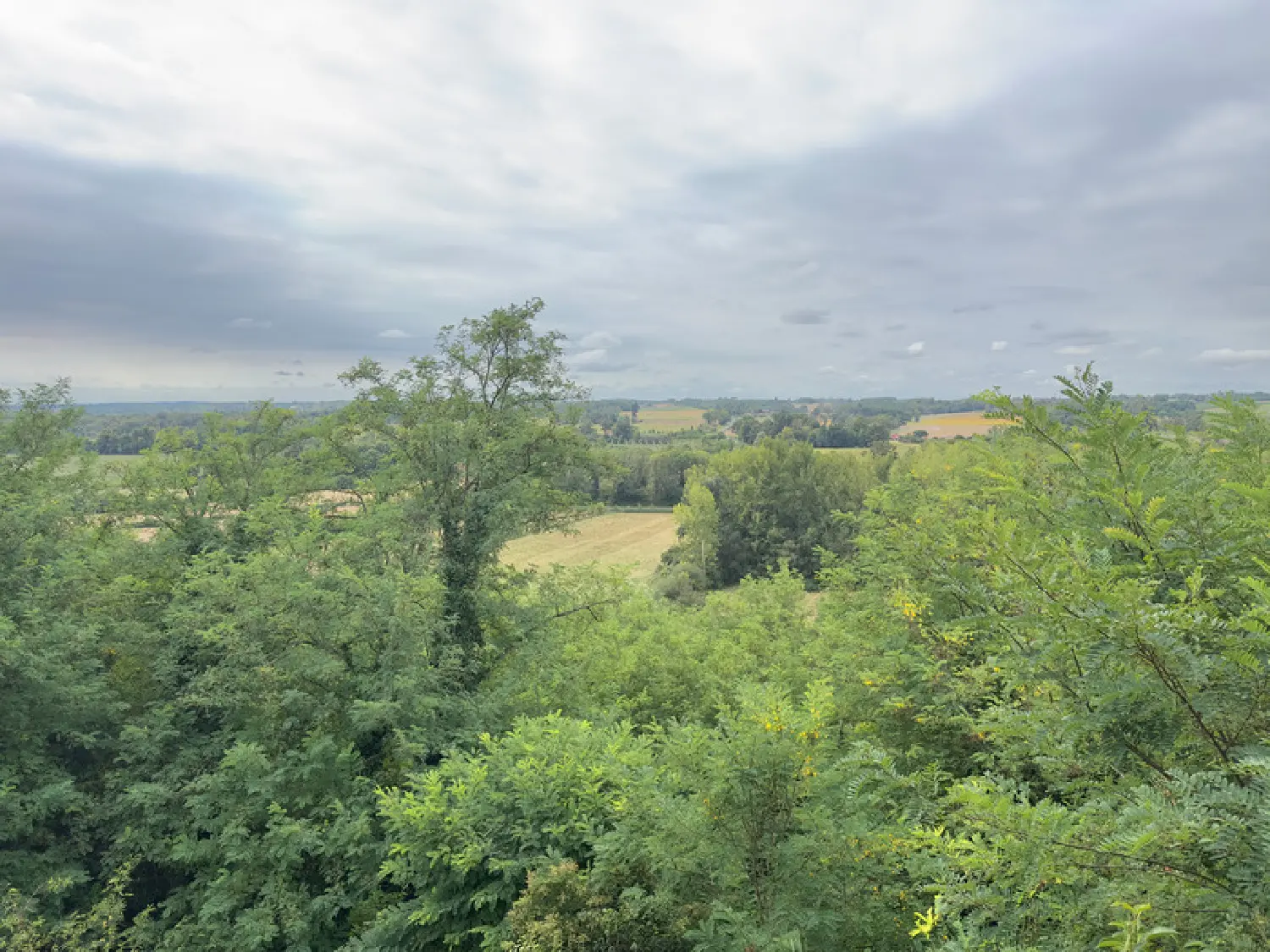  te koop dorpshuis Cazaubon Gers 8