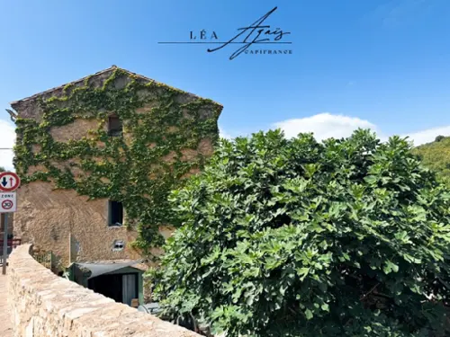 Félines-Termenès Aude maison de village foto 7120333
