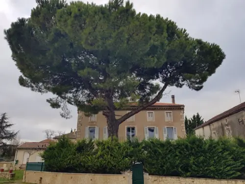Lectoure Gers village house foto 7126333