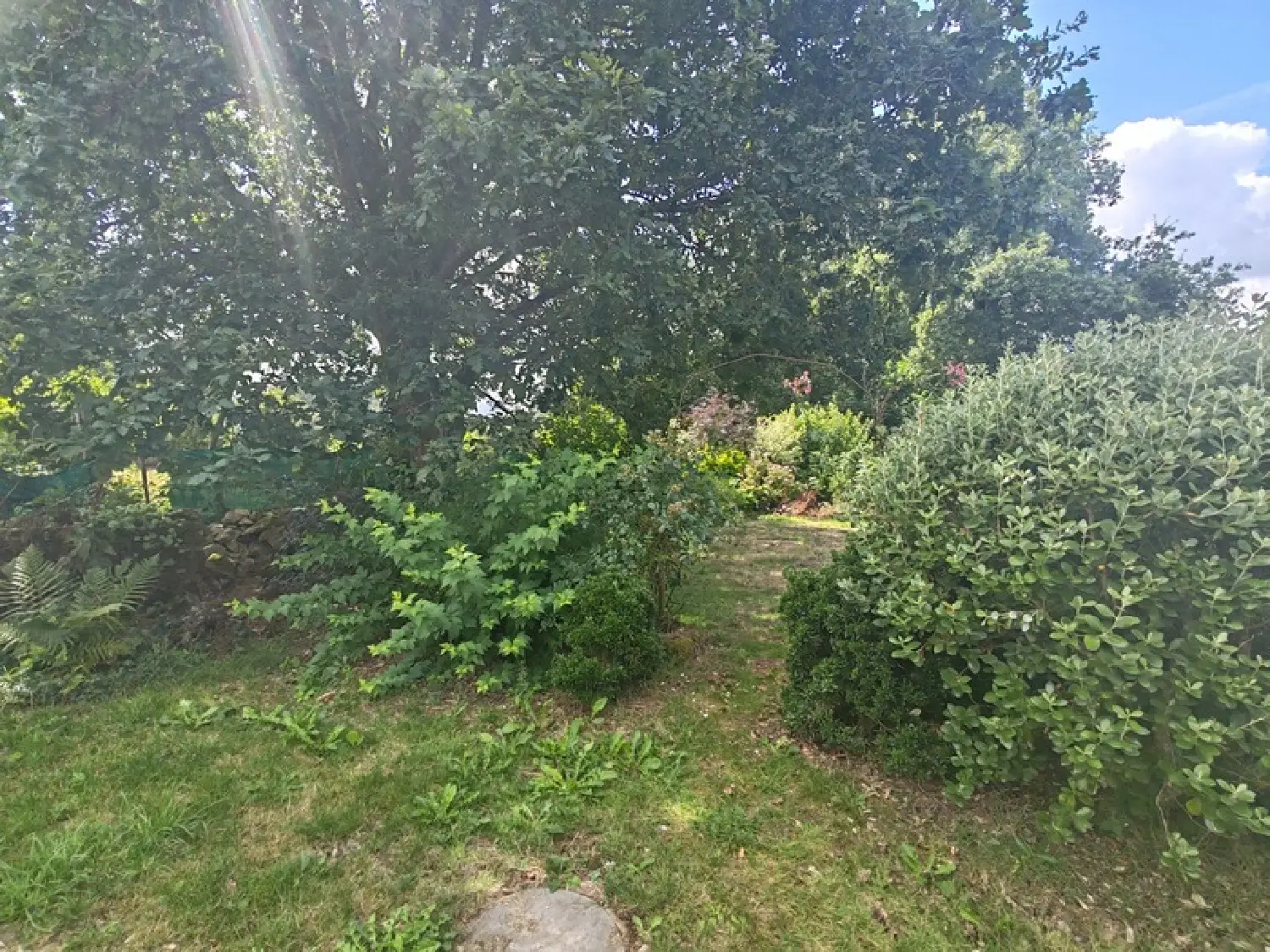 à vendre maison de village Plouay Morbihan 3