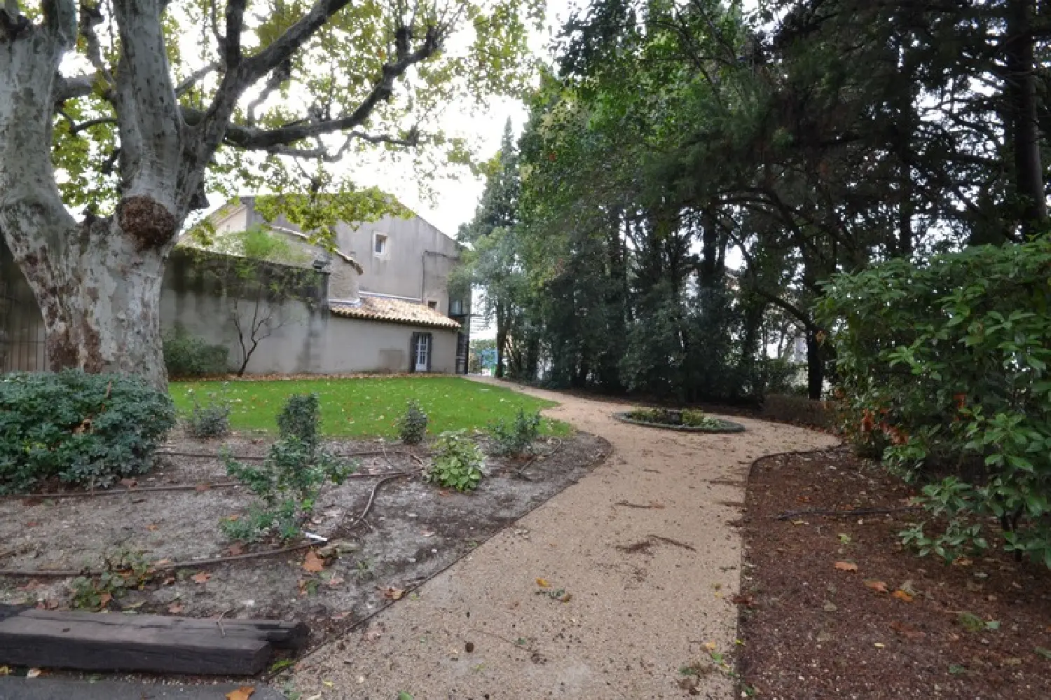  te koop kantoor Montfavet Vaucluse 5