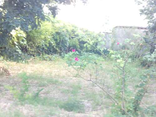 Béziers Hérault appartement foto 7145061