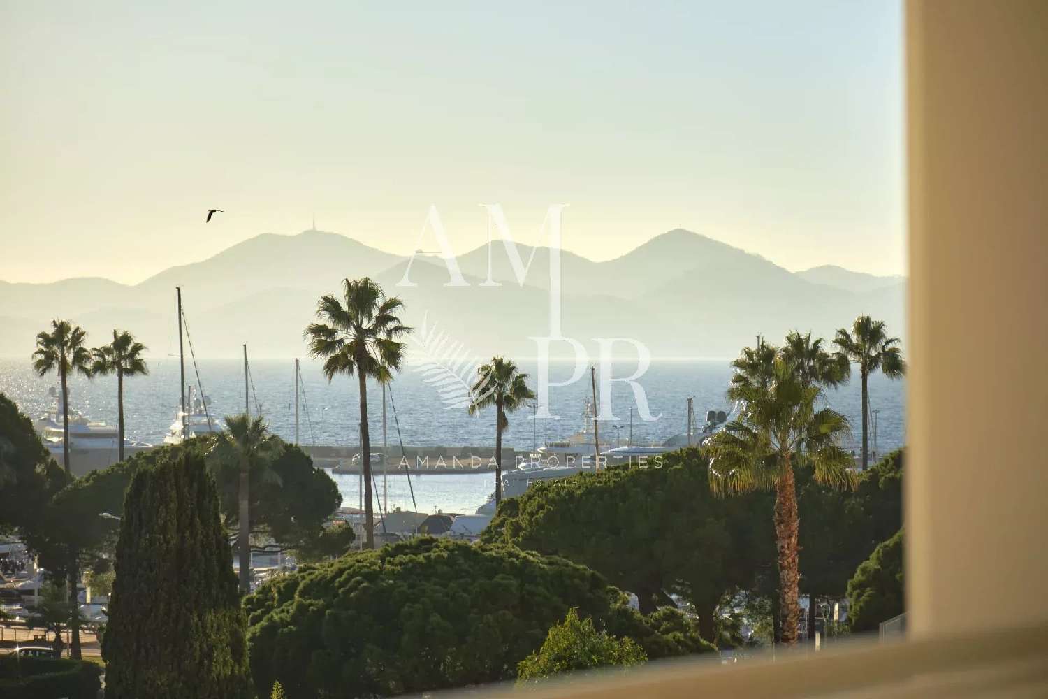  for sale apartment Cannes Alpes-Maritimes 2