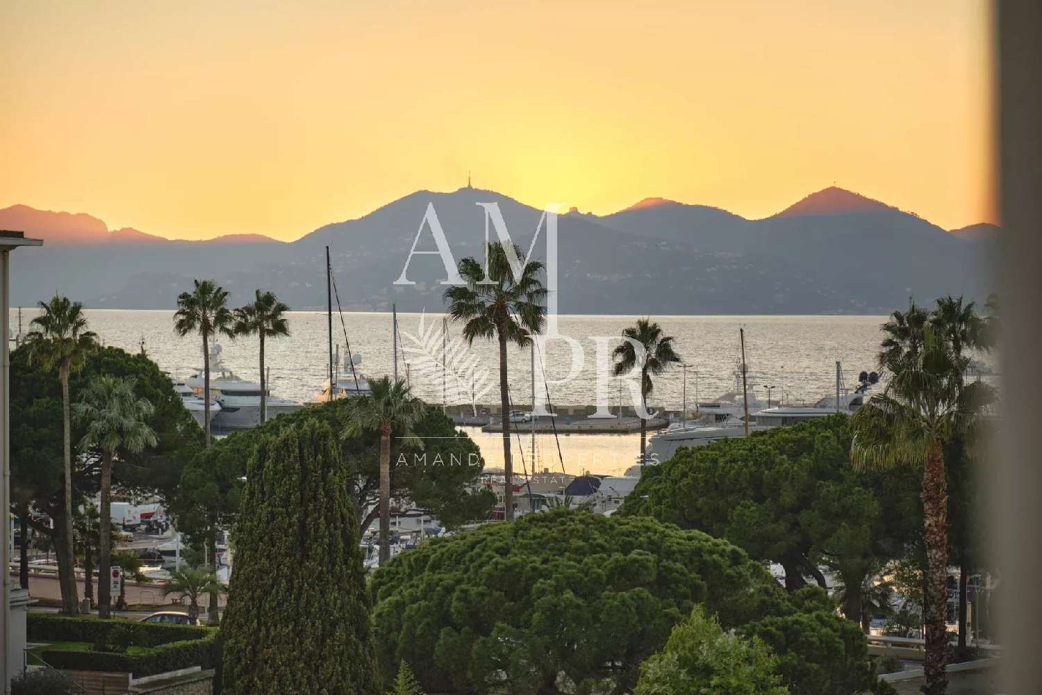  for sale apartment Cannes Alpes-Maritimes 5