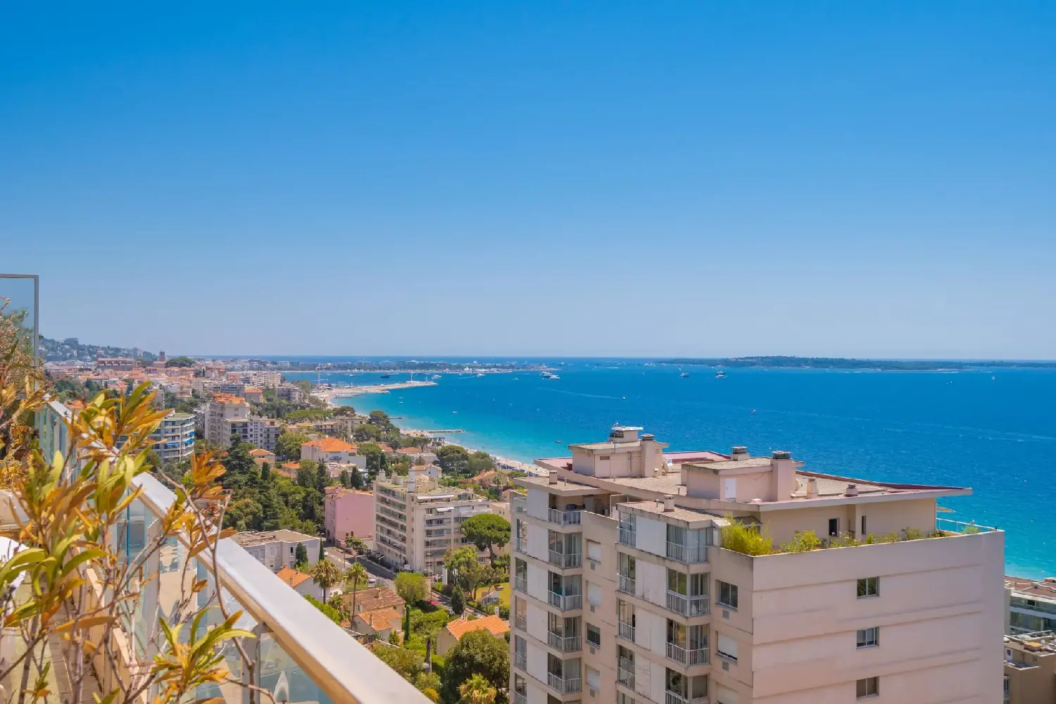  te koop appartement Cannes Alpes-Maritimes 8
