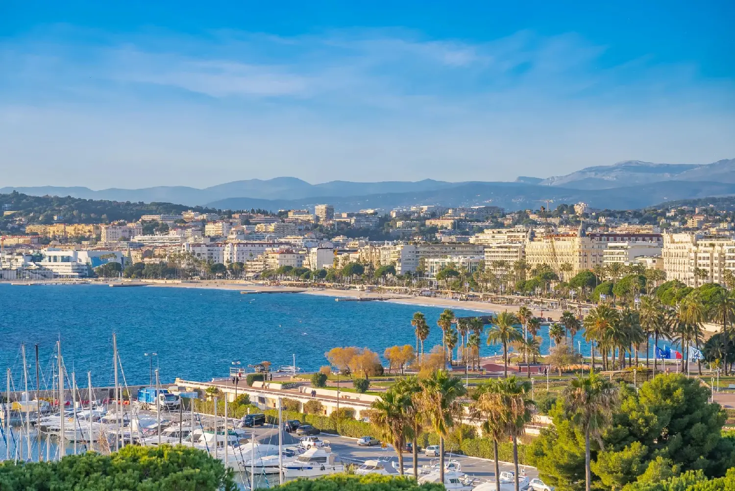  te koop appartement Cannes Alpes-Maritimes 3