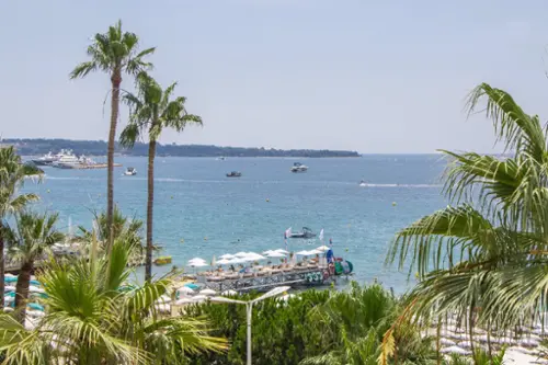 Cannes Alpes-Maritimes Wohnung/ Apartment Bild 7136258