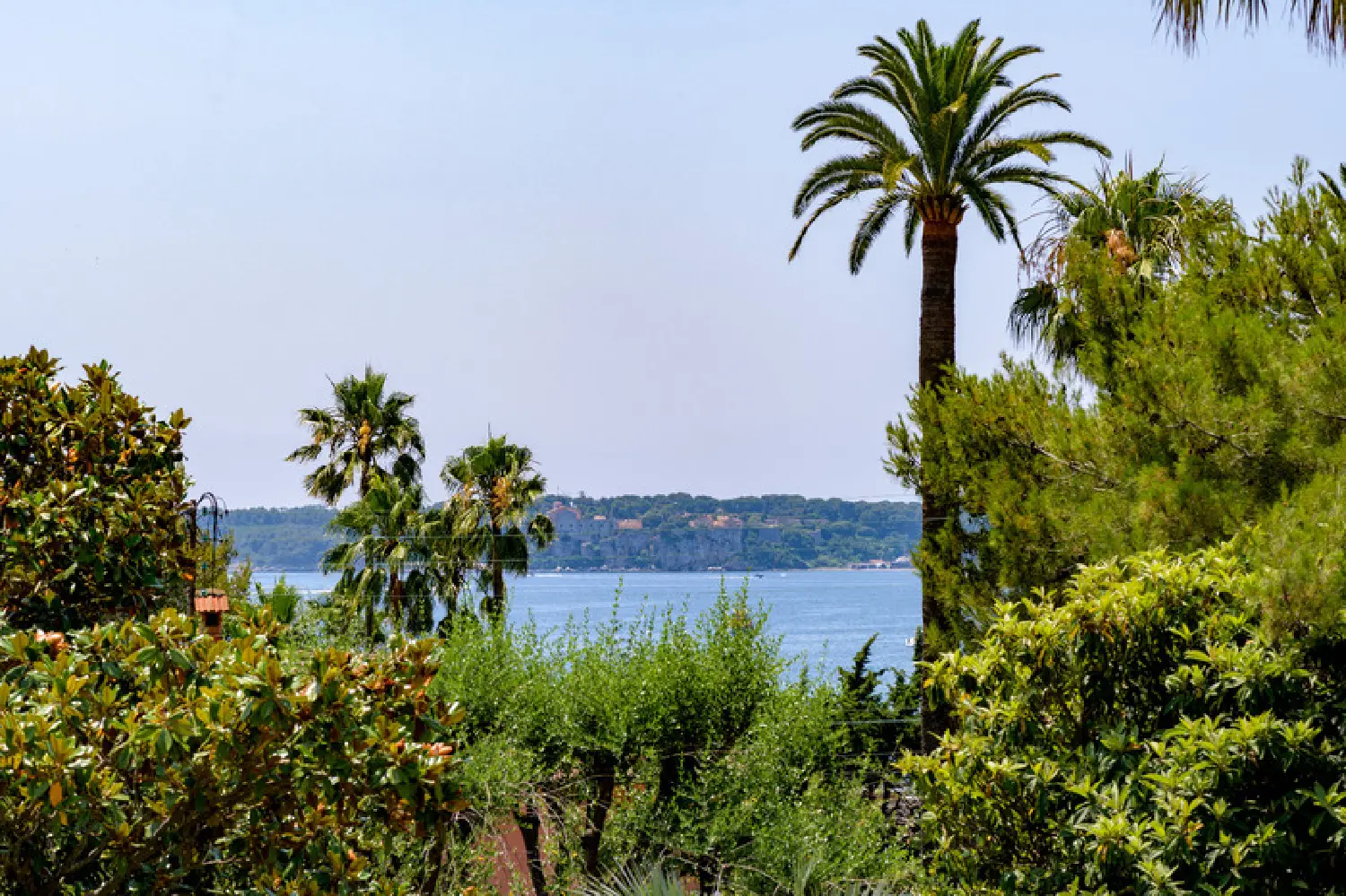  te koop appartement Cannes Alpes-Maritimes 2