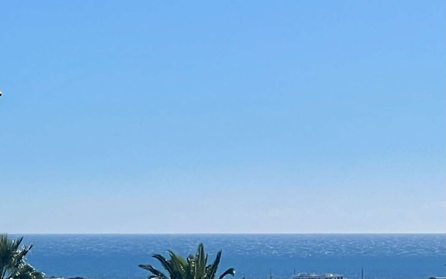  en venta apartamento Cannes Alpes-Maritimes 1