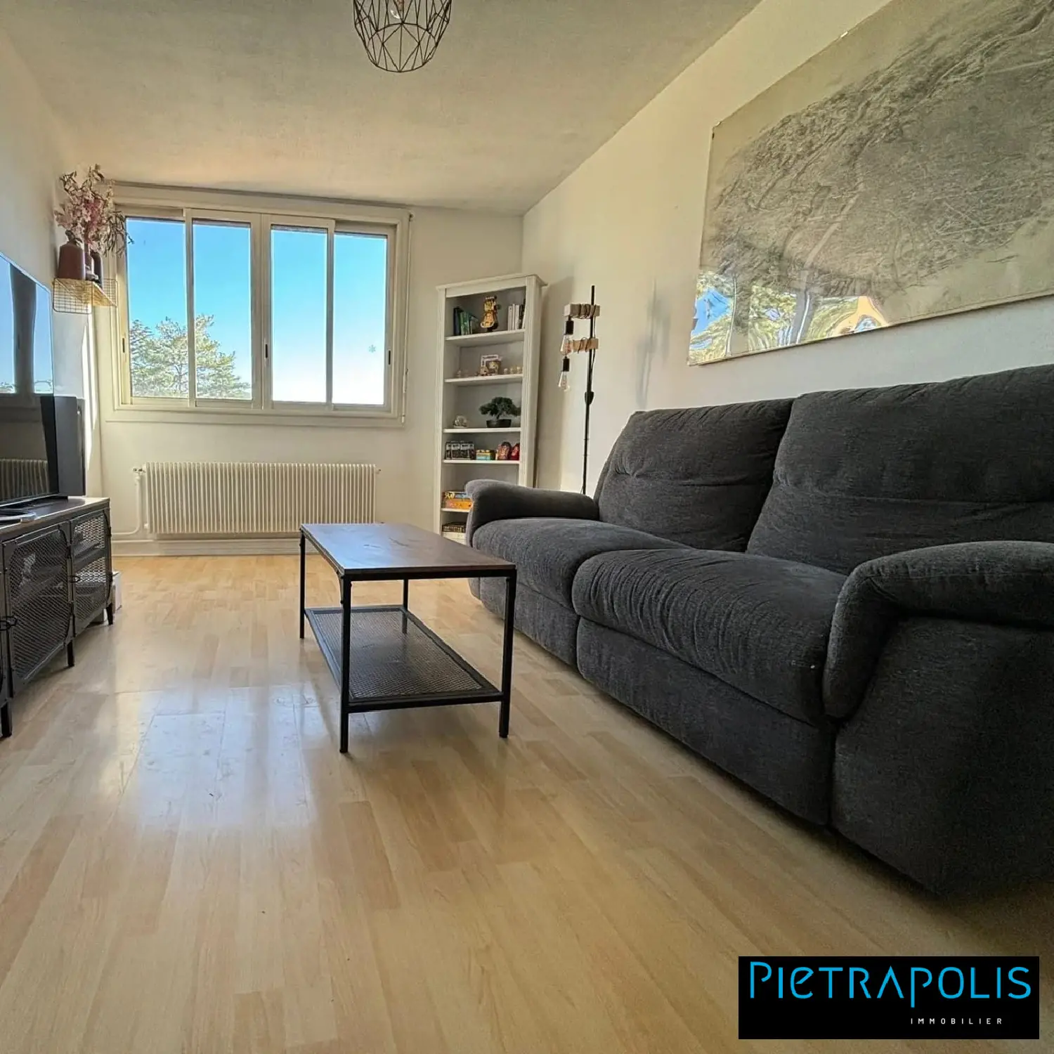  te koop appartement Champagne-au-Mont-d'Or Rhône 3