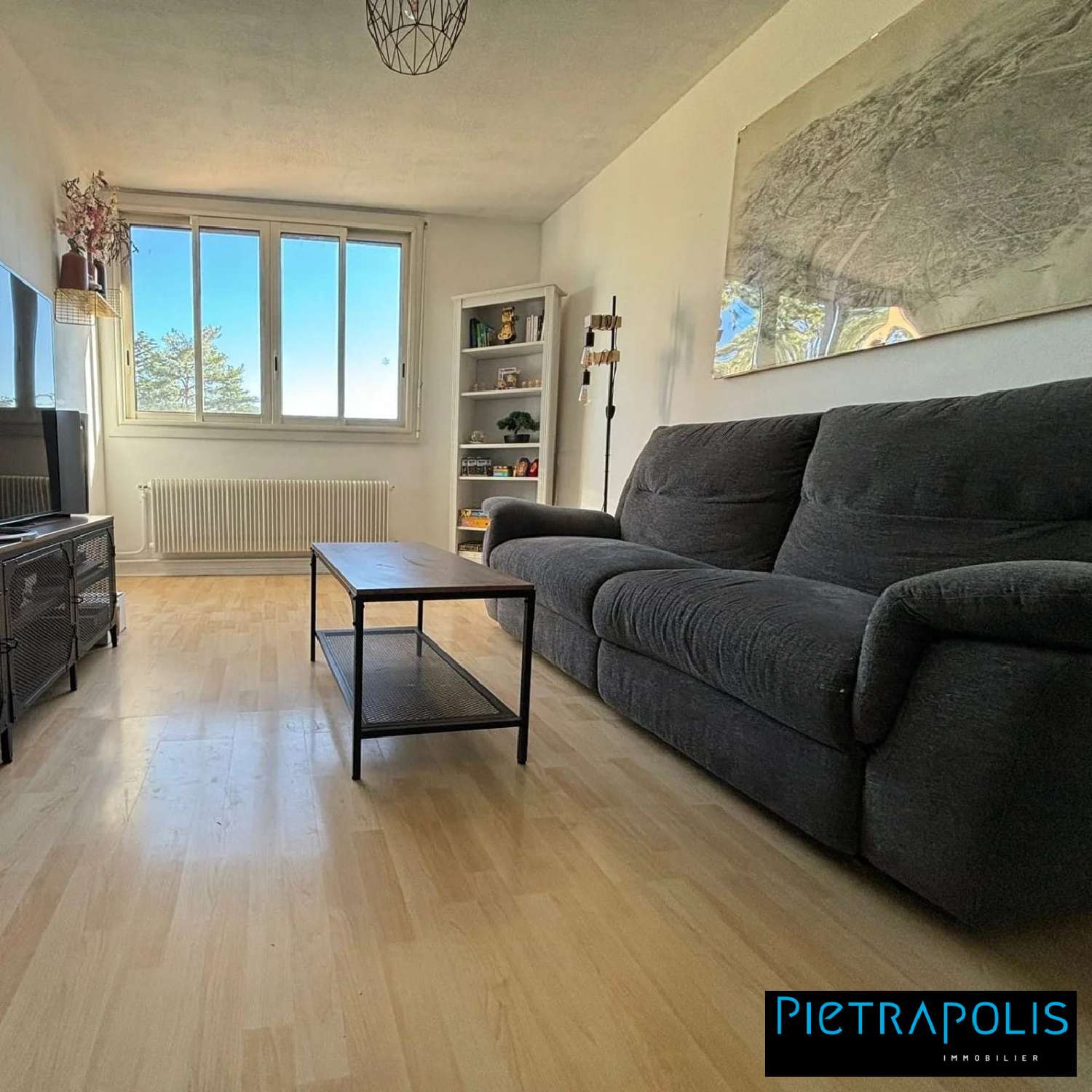  te koop appartement Champagne-au-Mont-d'Or Rhône 3