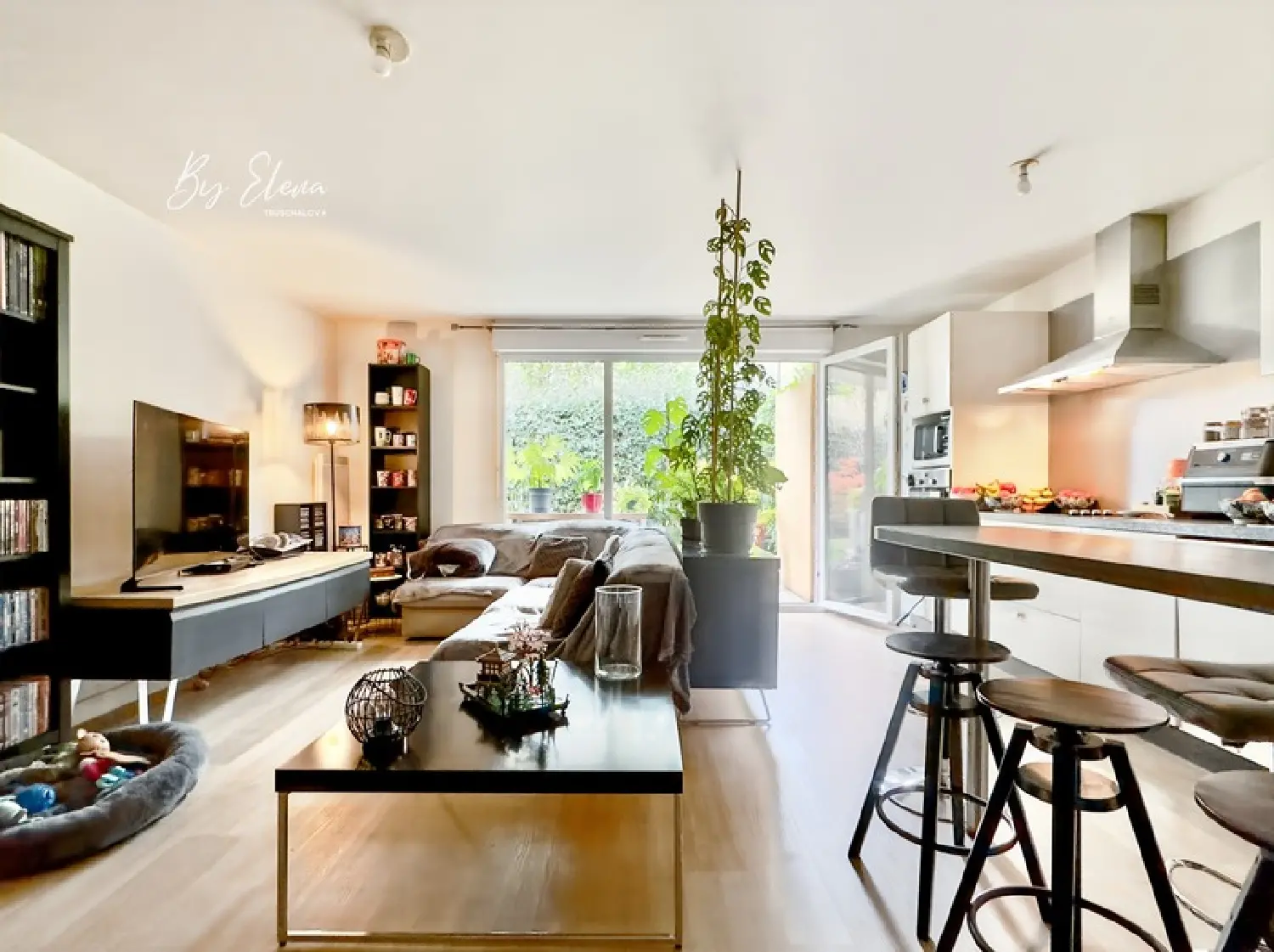  te koop appartement Chessy Seine-et-Marne 2
