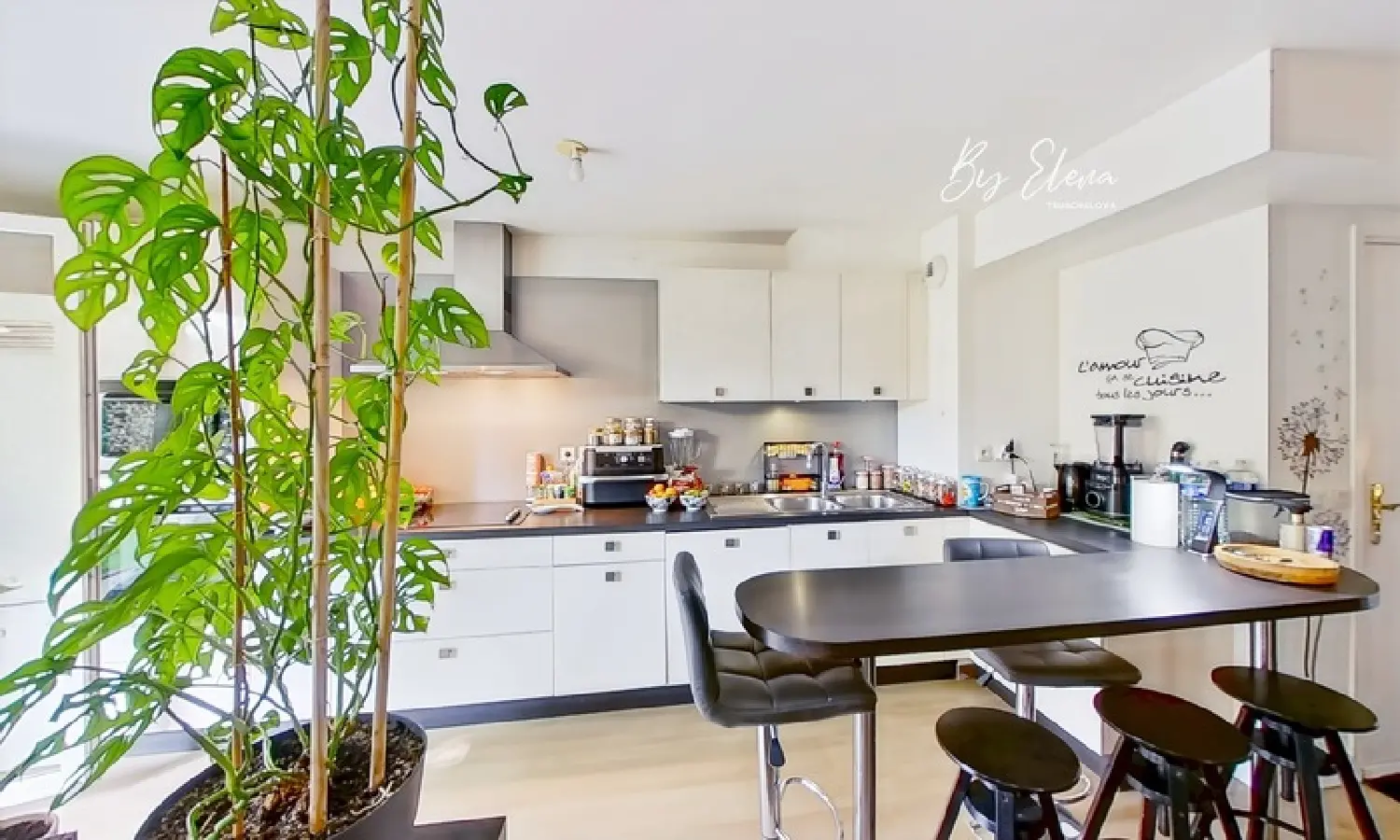  te koop appartement Chessy Seine-et-Marne 8