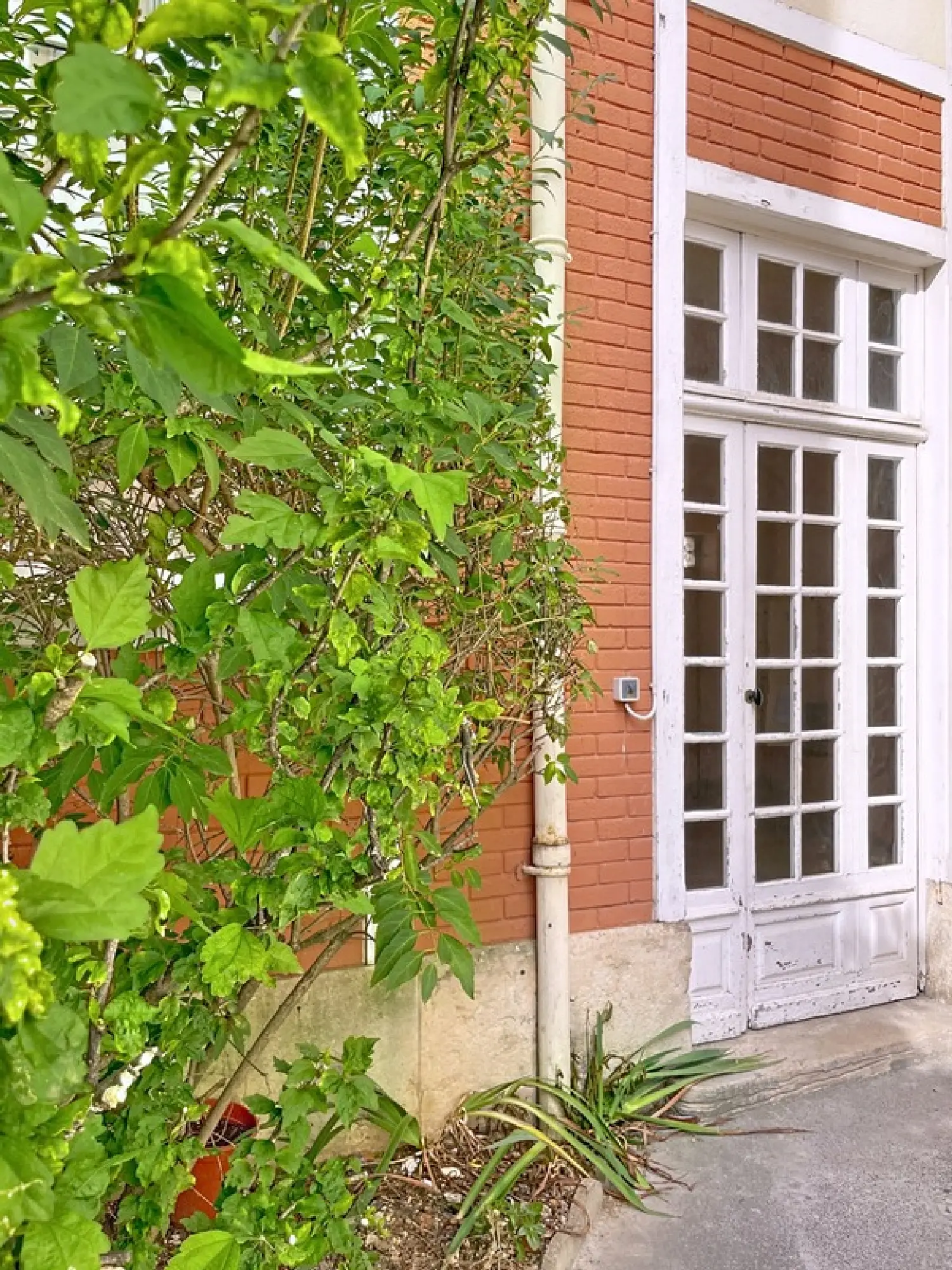  te koop appartement Dijon Côte-d'Or 2
