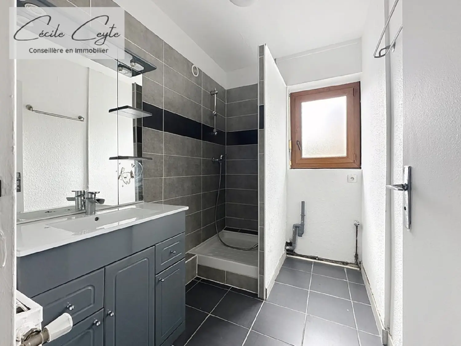  te koop appartement Grenoble 38100 Isère 7