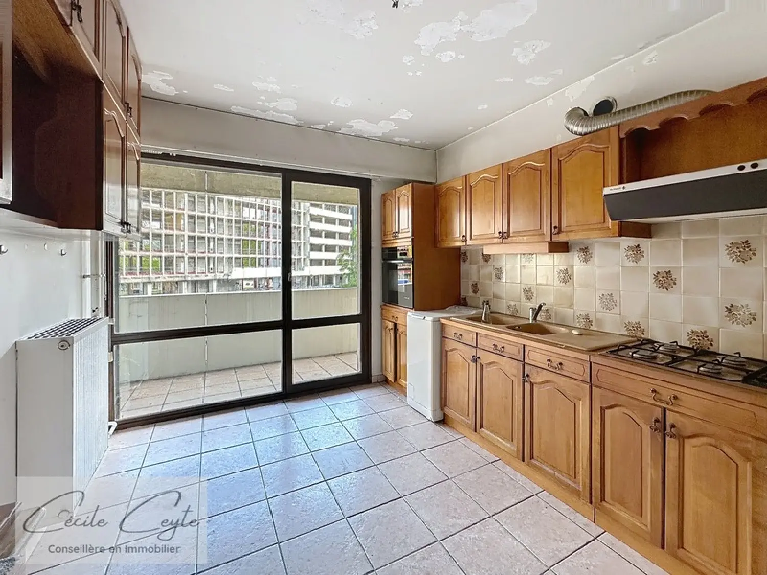  à vendre appartement Grenoble Isère 2