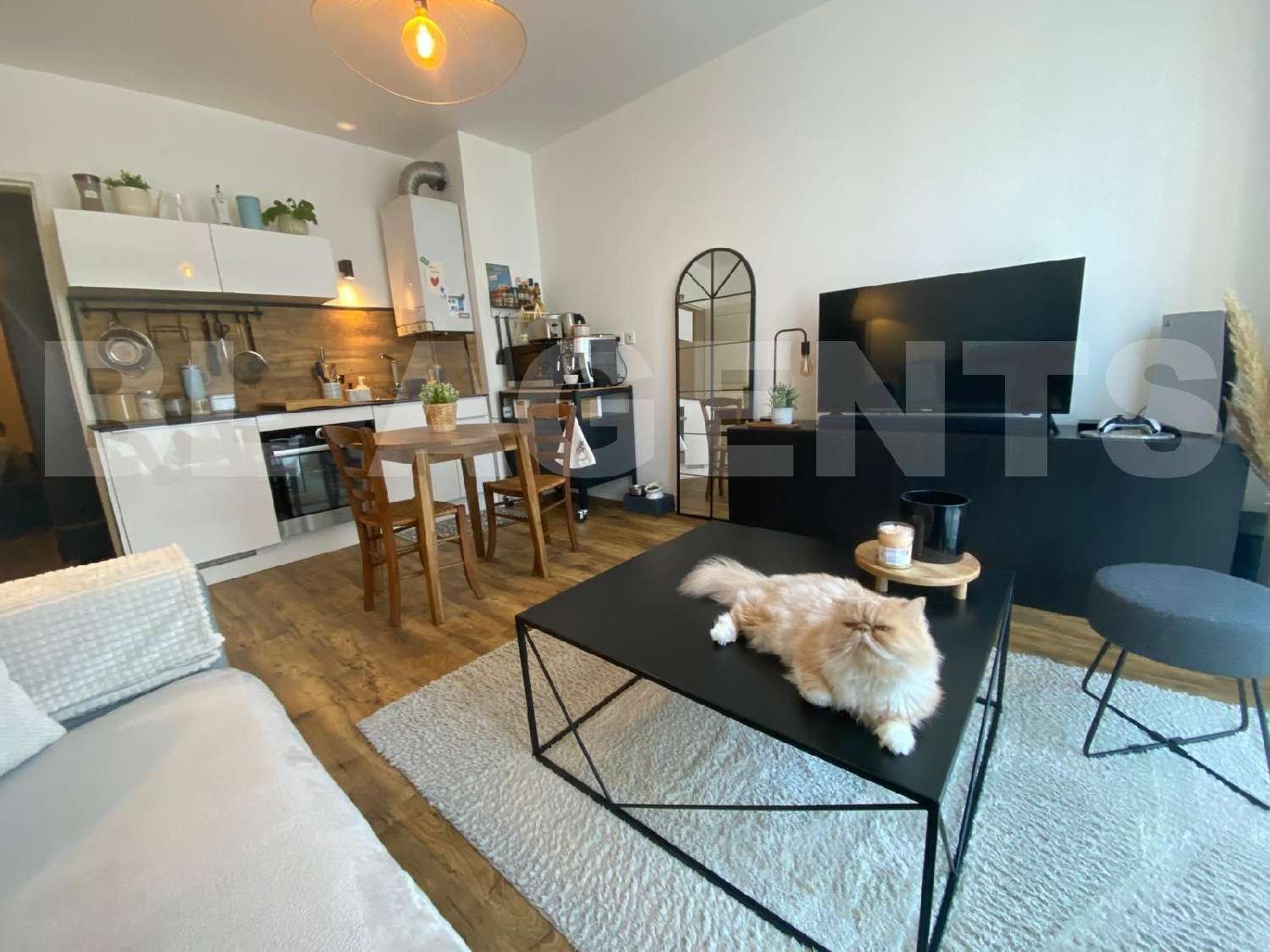  te koop appartement Le Mans Sarthe 1