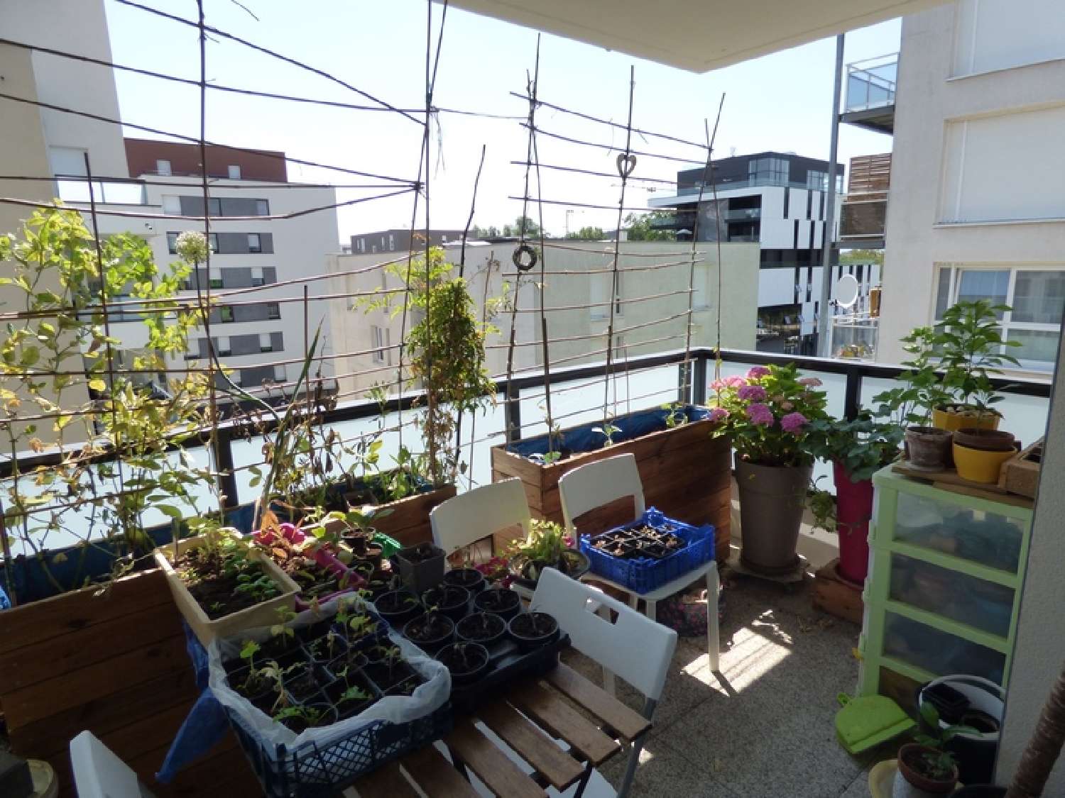  kaufen Wohnung/ Apartment Lingolsheim Bas-Rhin 6