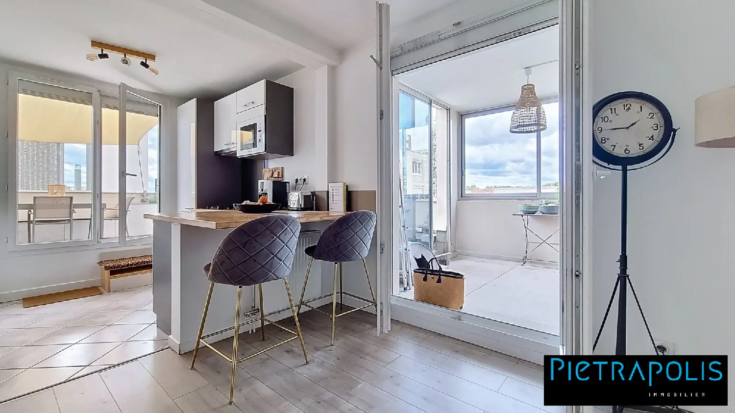  te koop appartement Lyon 7e Arrondissement Rhône 4