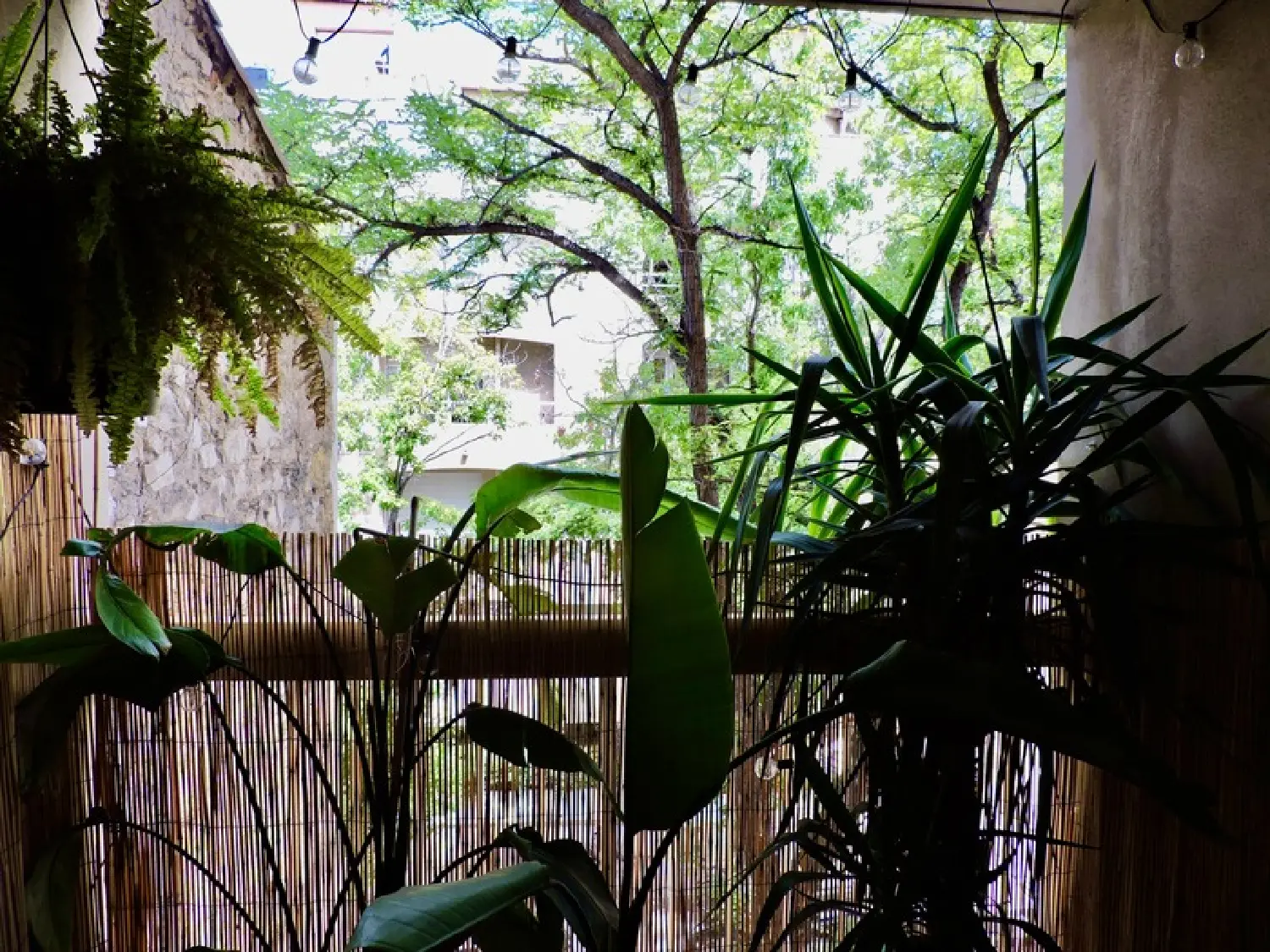  te koop appartement Marseille 6e Arrondissement Bouches-du-Rhône 2