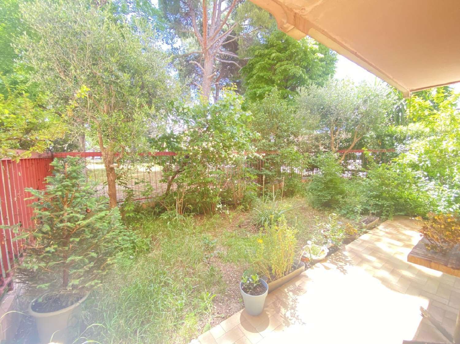  en venta apartamento Marsella Bocas del Ródano 1