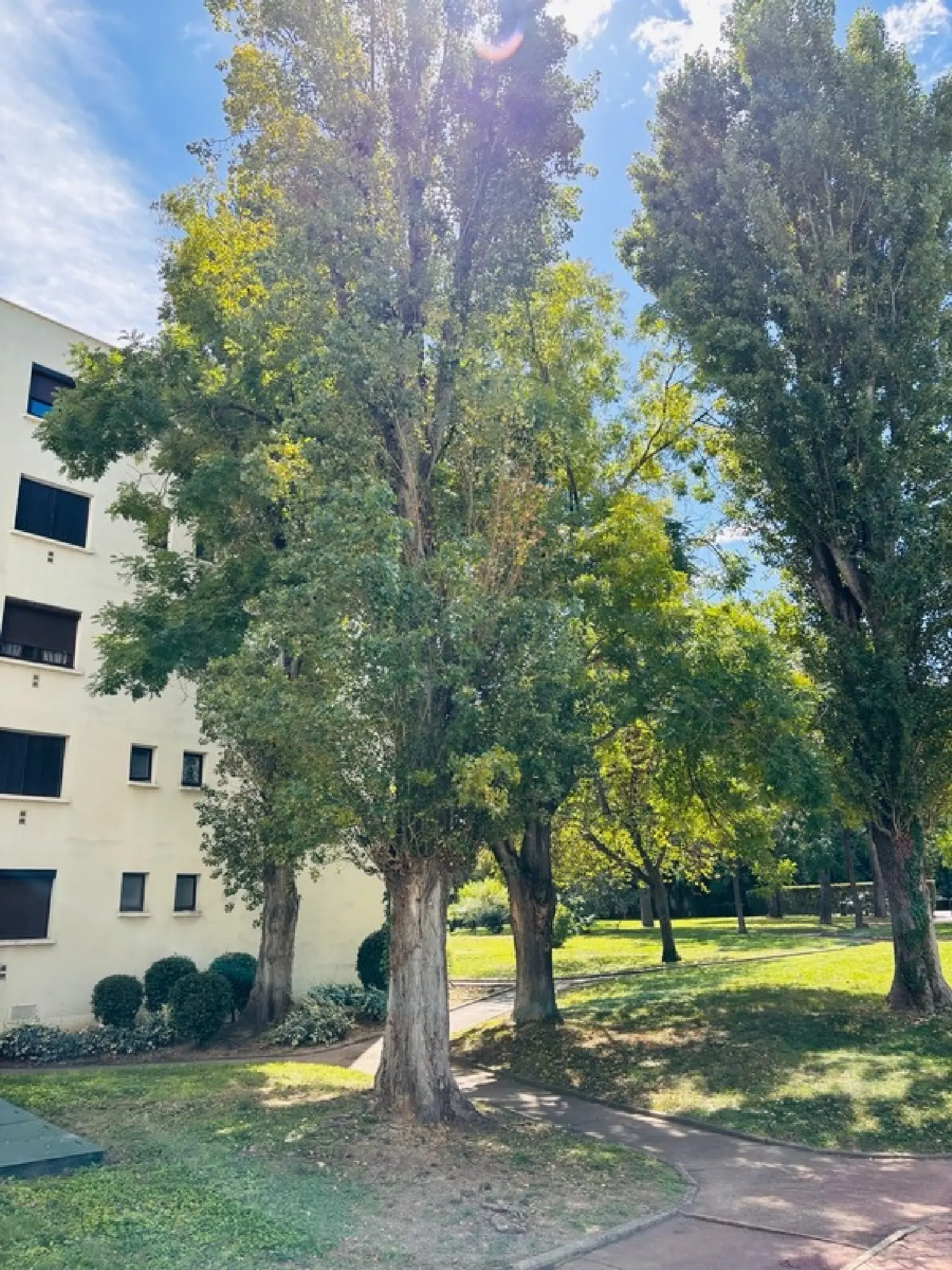  te koop appartement Montpellier 34070 Hérault 2