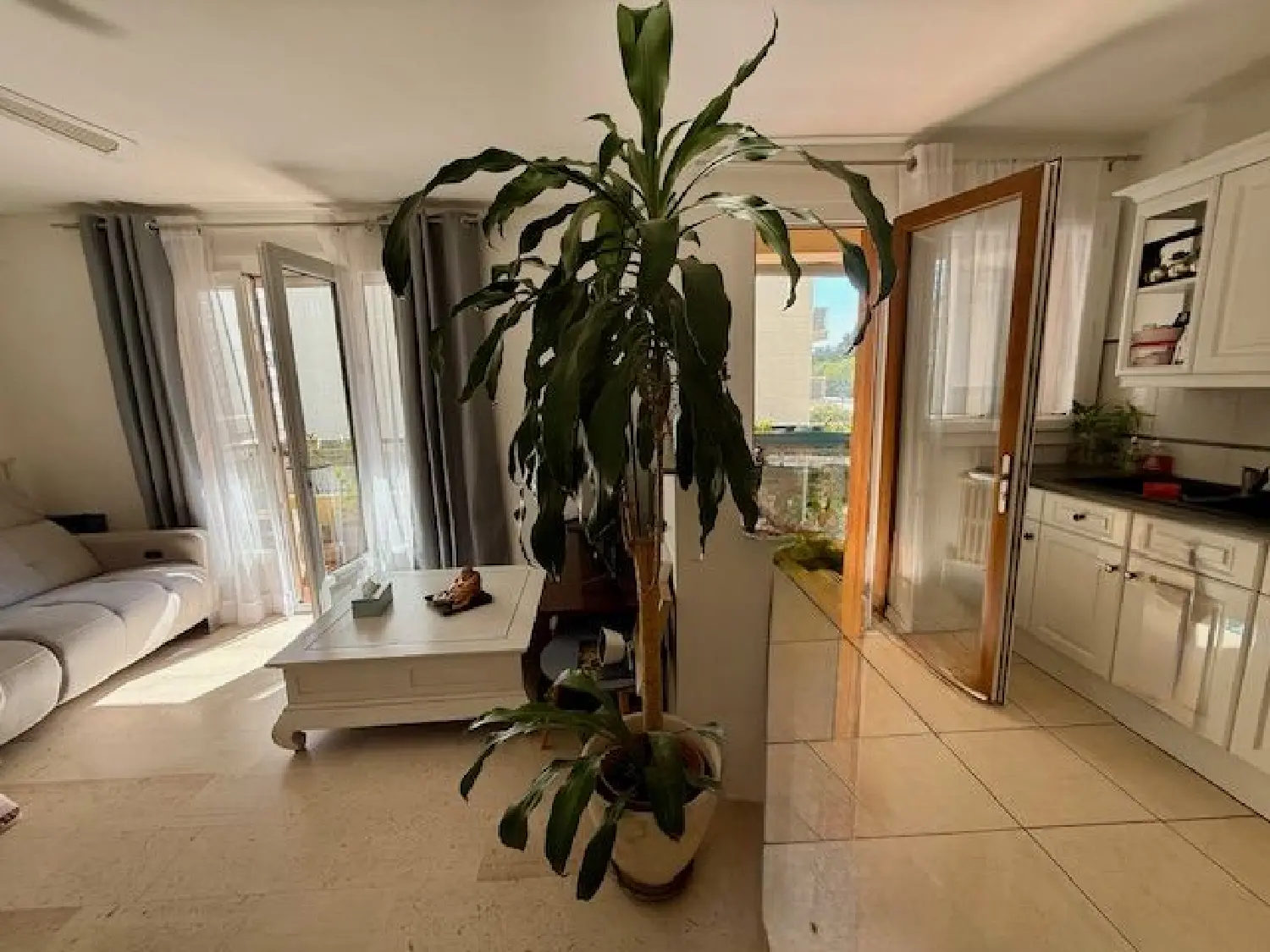  te koop appartement Montpellier Hérault 4