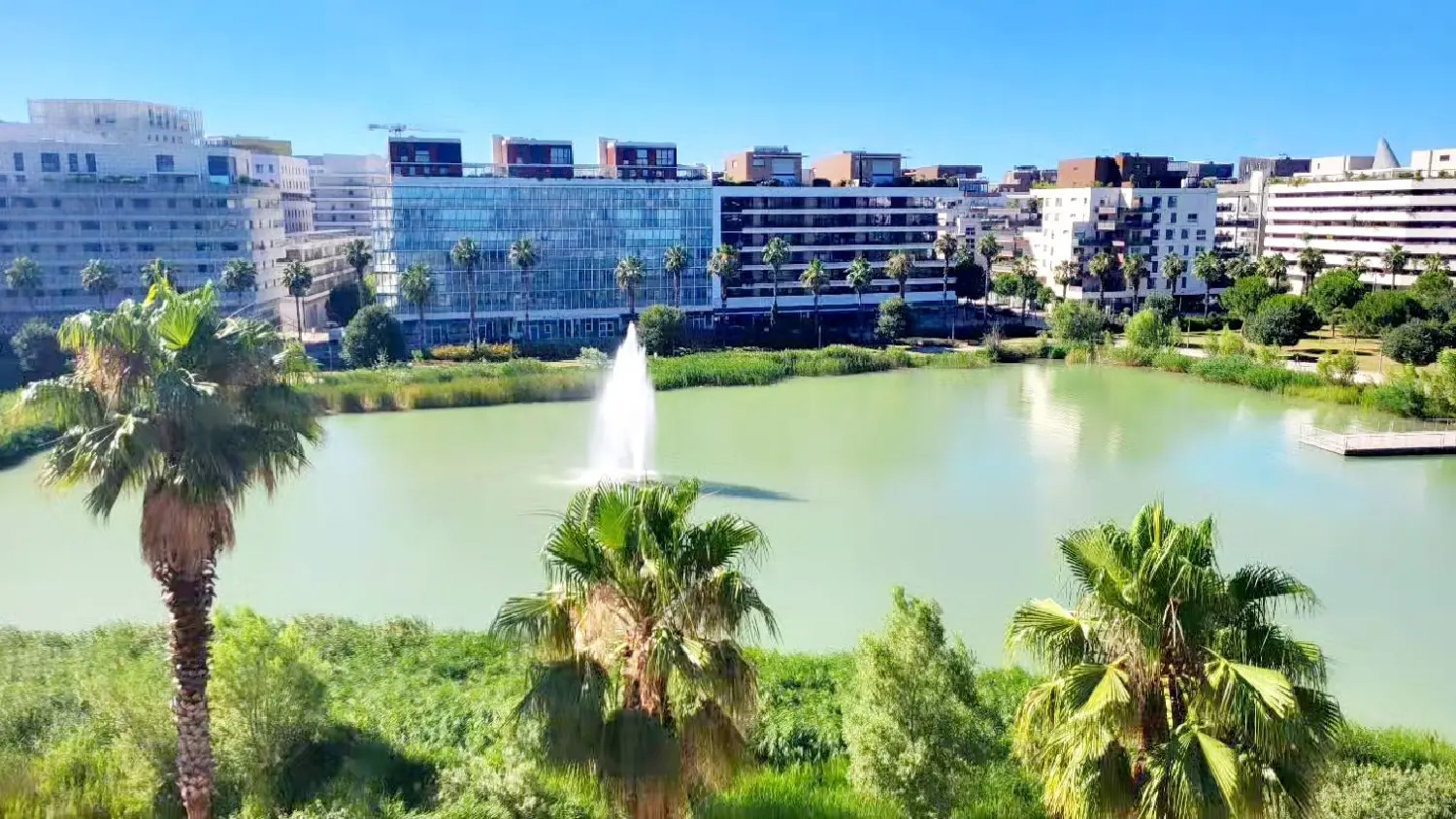  te koop appartement Montpellier Hérault 3