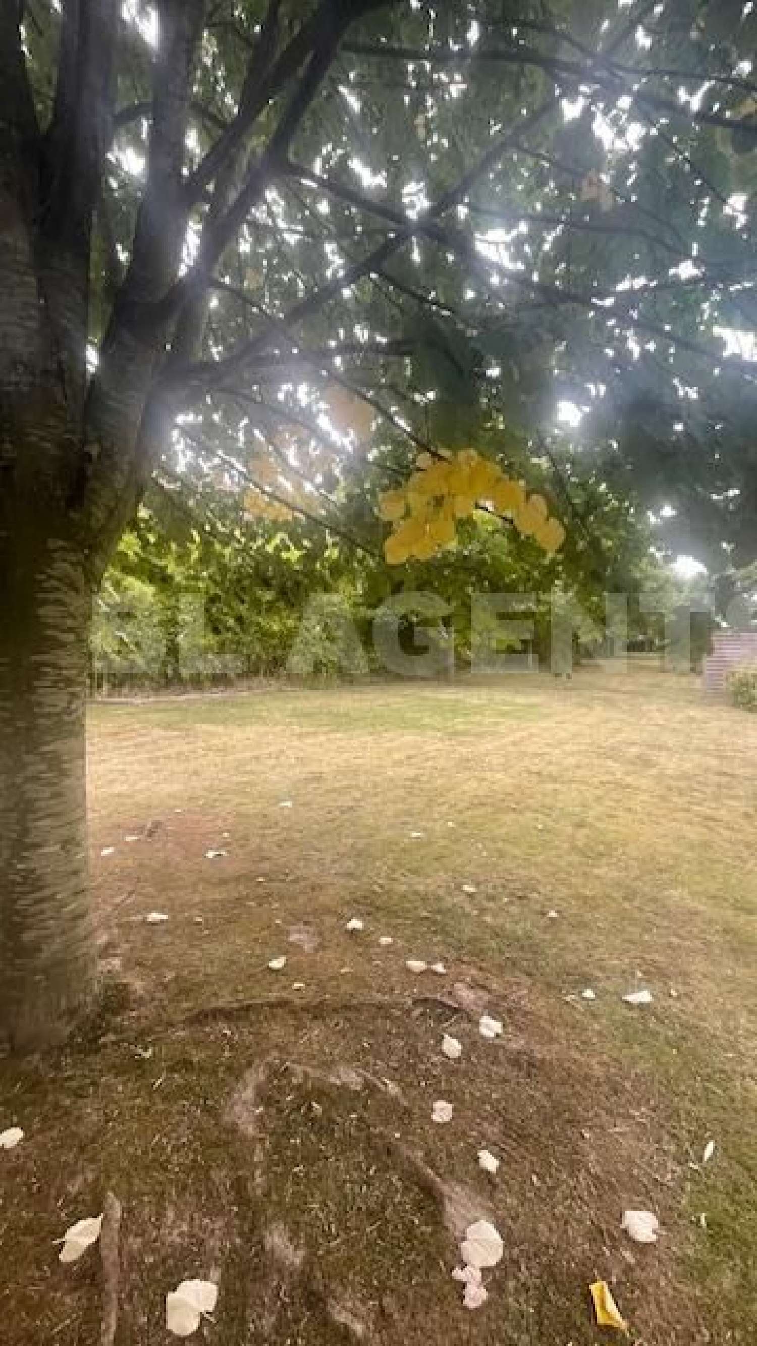 kaufen Wohnung/ Apartment Mouvaux Nord 1