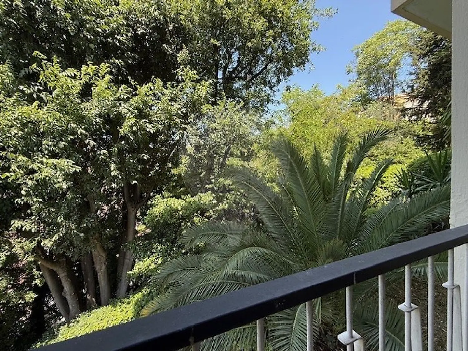  te koop appartement Nice 06100 Alpes-Maritimes 4