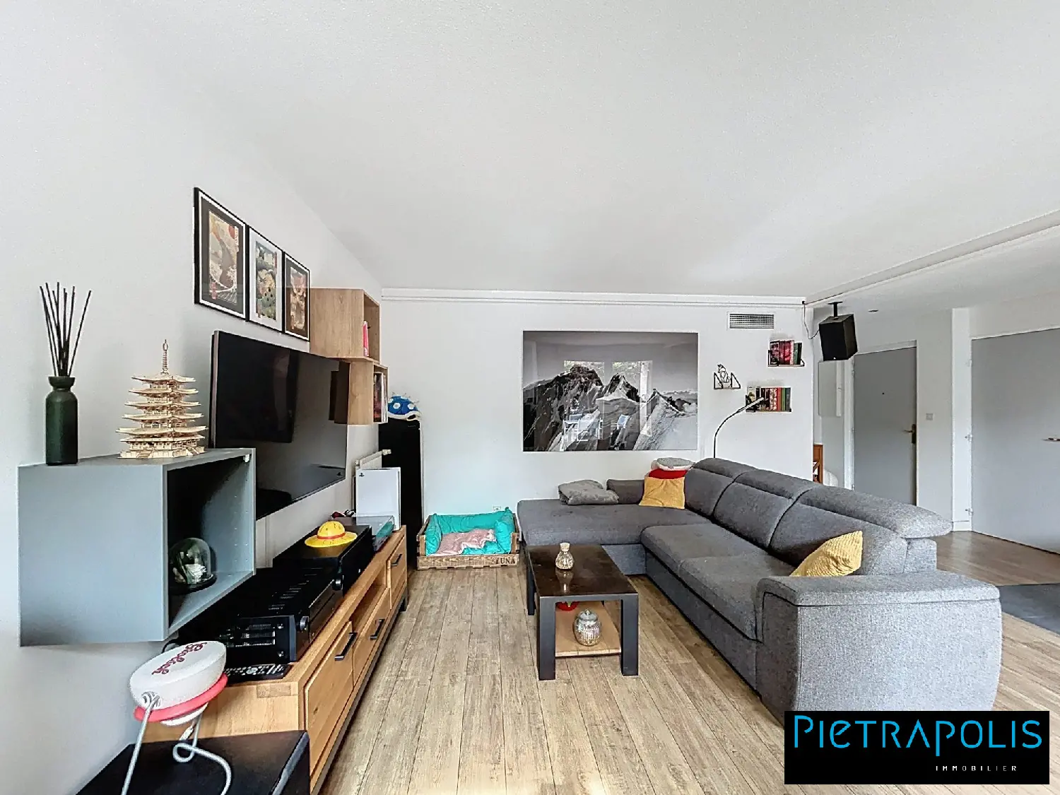  te koop appartement Oullins Rhône 3