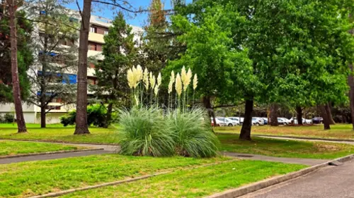 Pessac Gironde apartamento foto 7136560