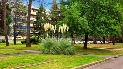 Pessac Gironde appartement foto 7145289