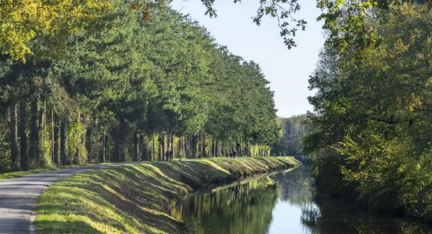 en venta apartamento Rennes Ille-et-Vilaine 3