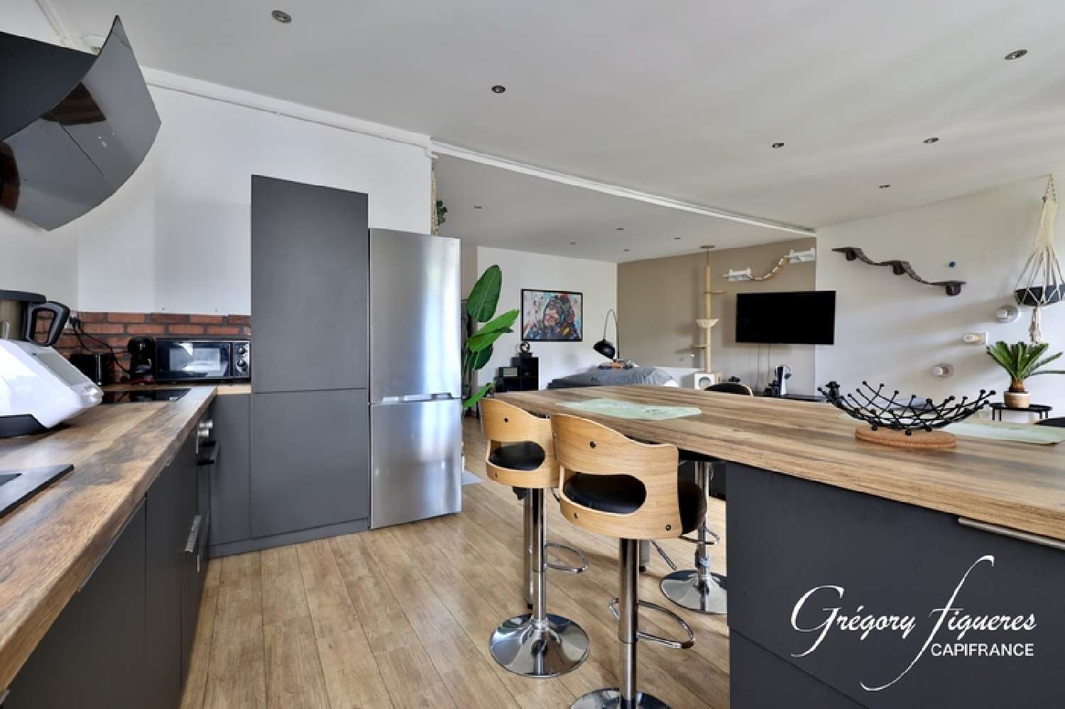  te koop appartement Rive-de-Gier Loire 6