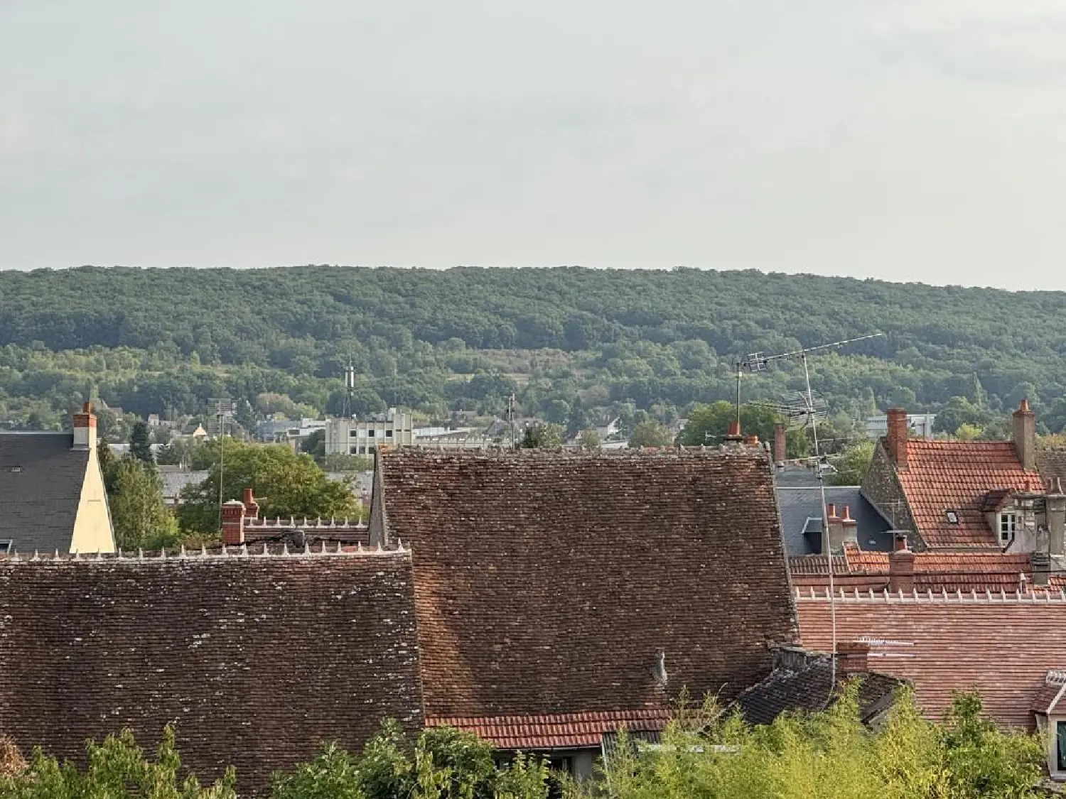  te koop appartement Saint-Amand-Montrond Cher 2