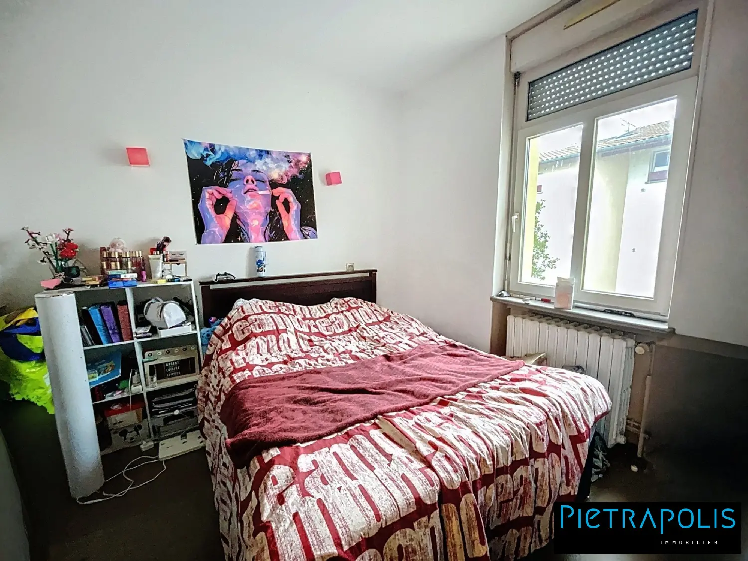  à vendre appartement Saint-André-de-Corcy Ain 6