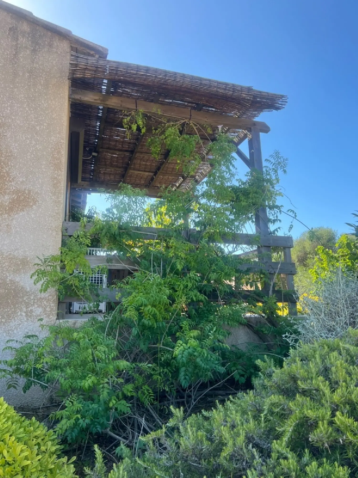  en venta apartamento Serra-di-Ferro Corse-du-Sud 6