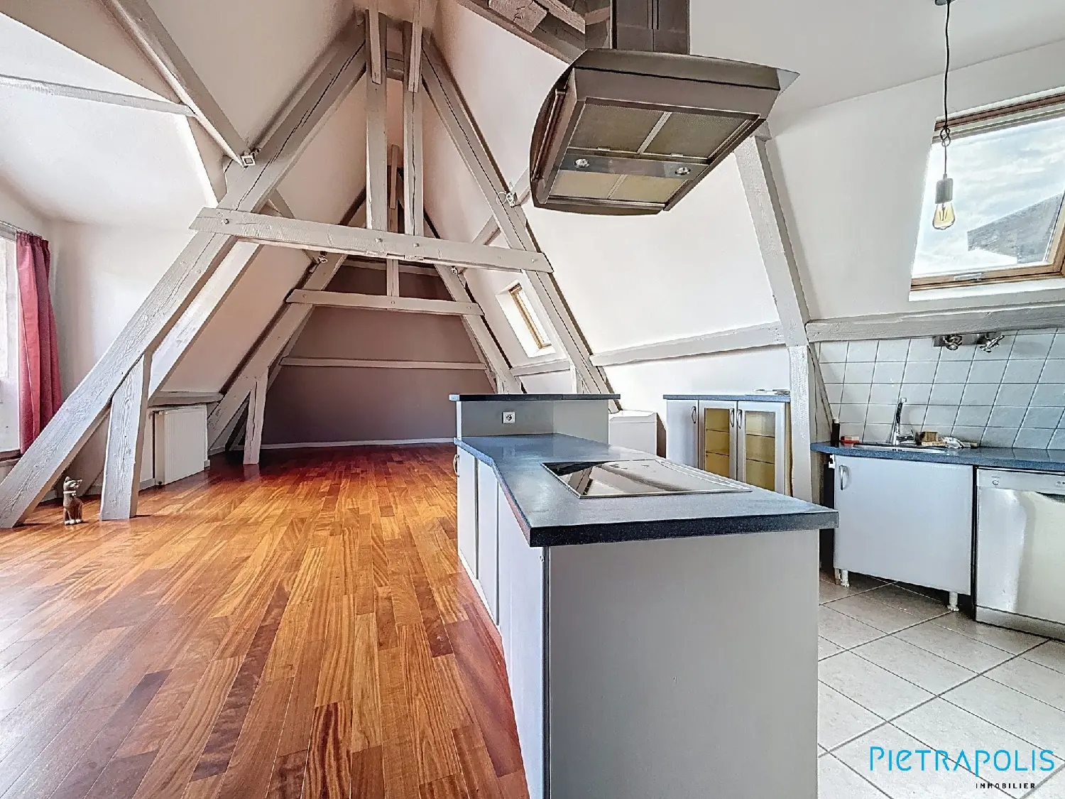  te koop appartement Tarare Rhône 7