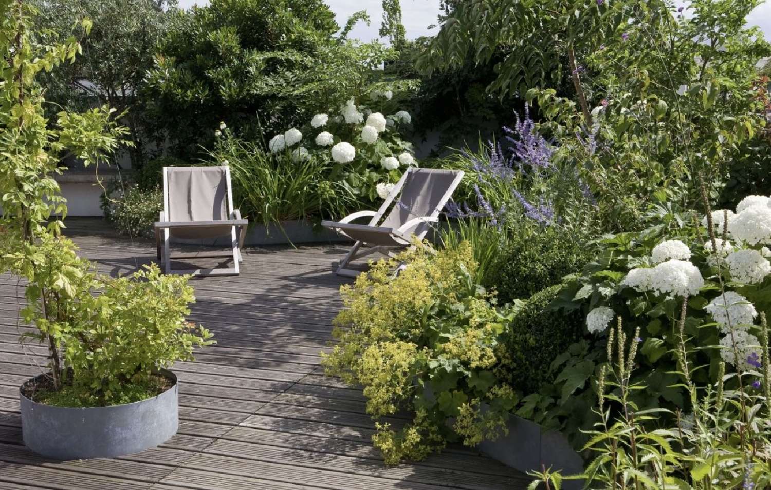  for sale apartment Tassin-la-Demi-Lune Rhône 1