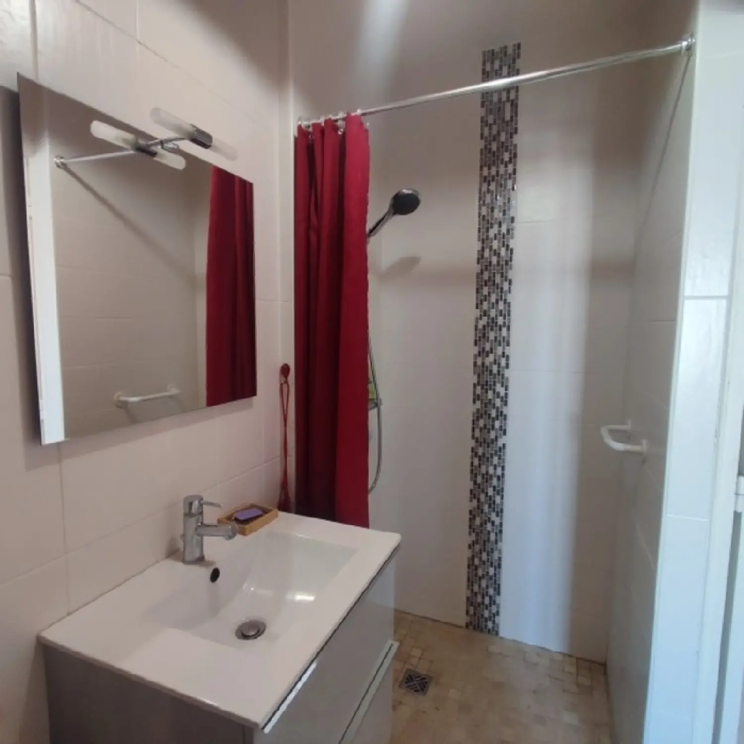  te koop appartement Terrenoire Loire 4